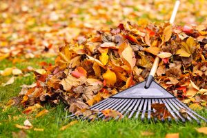 How to Maintain Your Fence This Fall