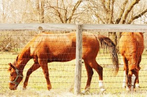 Non climb fence by Hercules Fence High Security