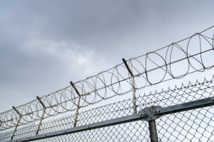 wired fence with barbed wires