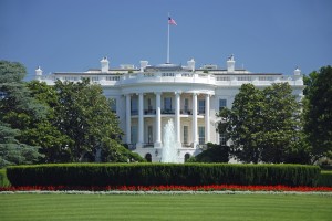 White House Fence Jumper