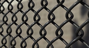 Chain Link Fence