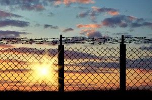 Why You Should Consider Barbed Wire Fencing 